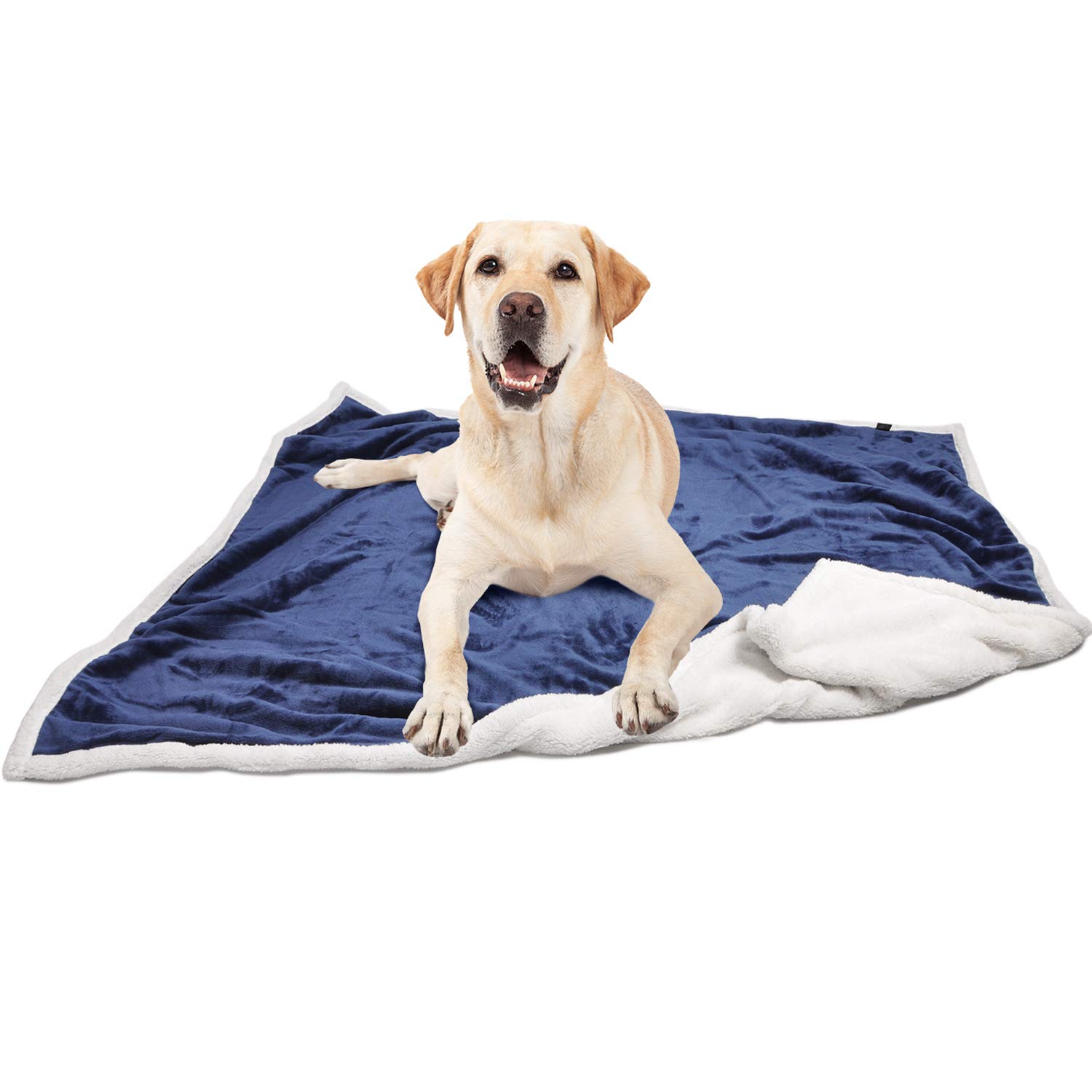 Dog blankets online Clearance