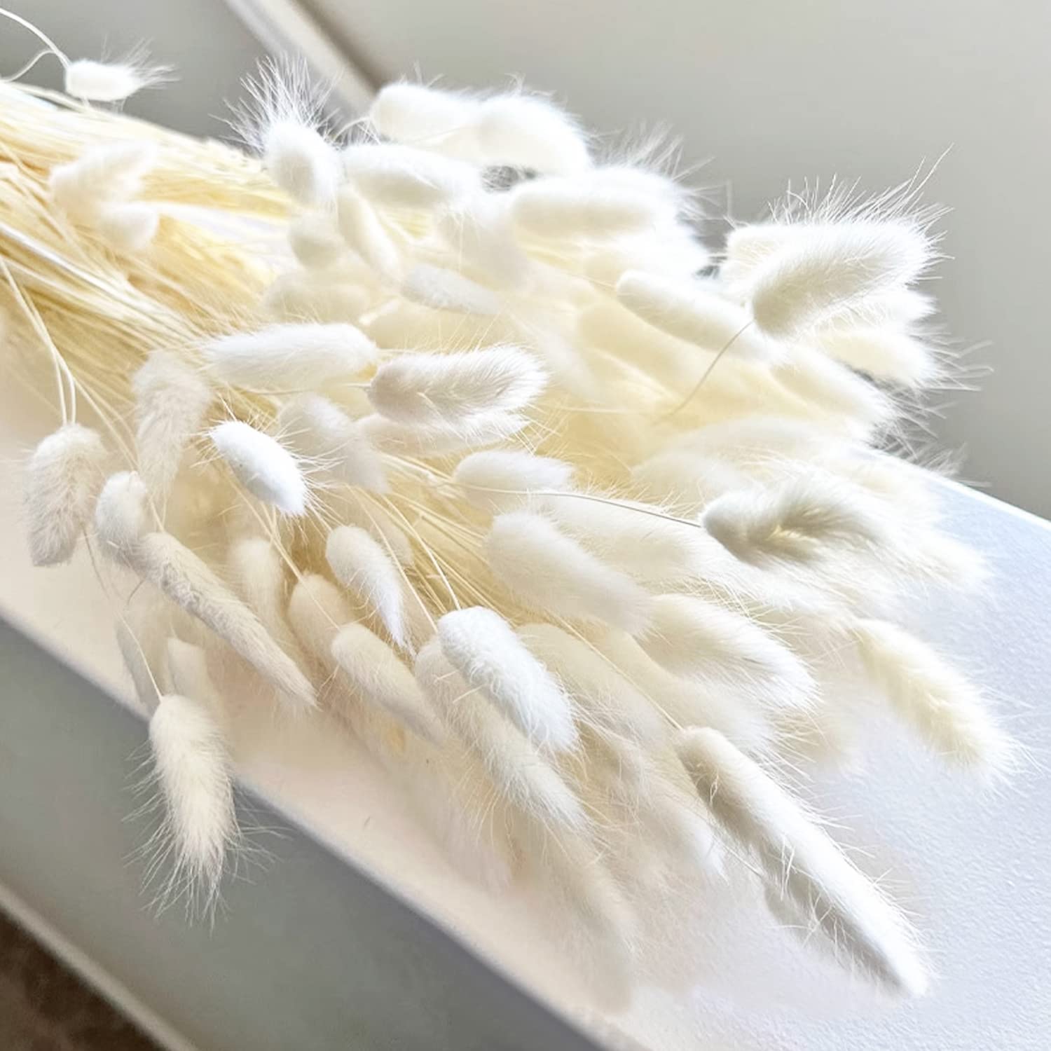 120 PCS Natural Bunny Tails Flowers Lagurus Bunny Tails Pampas Grass Decor Lagurus Ovatus Dried Grass Bouquet for Flower Arrangements Boho Wedding Bouquets Home Decor Garden Decor（White）
