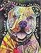 AQUARIUS Dean Russo Pit Bull Puzzle (500 Piece Jigsaw Puzzle) - Glare Free - Precision Fit - Officially Licensed Dean Russo Merchandise & Collectibles - 16 x 20 Inches