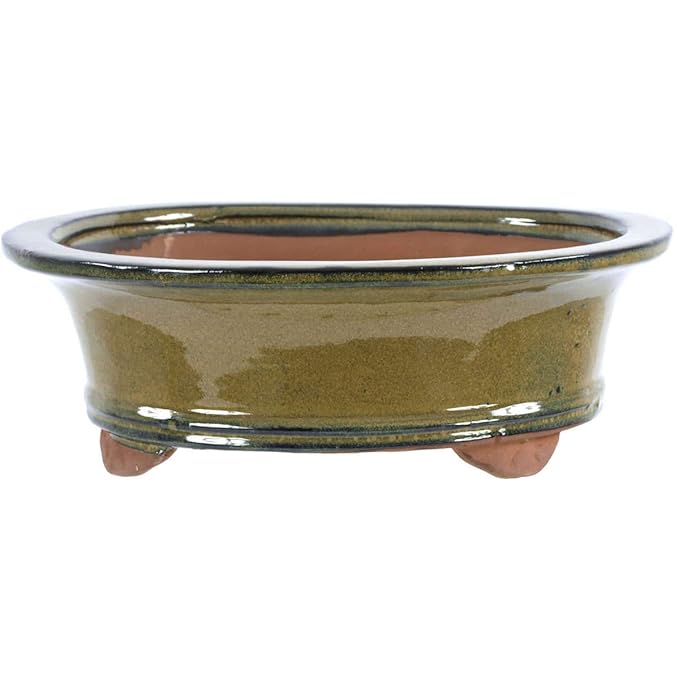 Bonsai Pot 25x20.5x8.5cm Olive Oval glaced Amazon.co.uk Garden & Outdoors