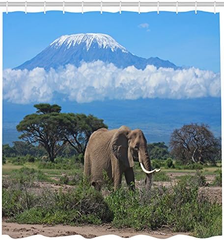 Kids Animal Tigers Horse And Elephant S Shower Curtain Size 66 By 72 Inch