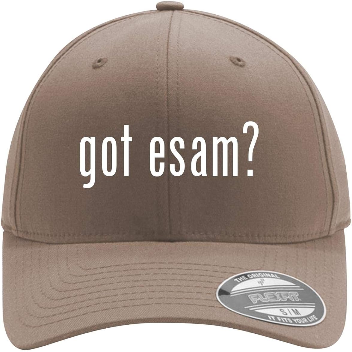 got Esam? - Adult Men's Flexfit Baseball Hat Cap