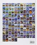 Image de Insectes (French Edition)