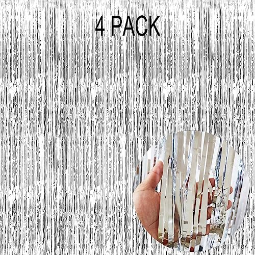 Silver Fringe Curtain