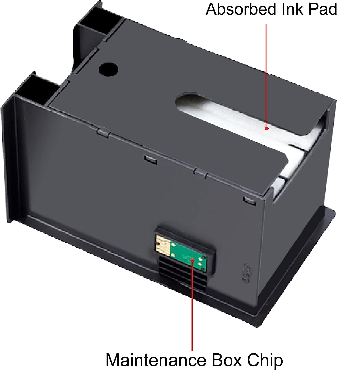 View 4