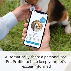 Ring Pet Tag | Easy-to-use tag with QR code
