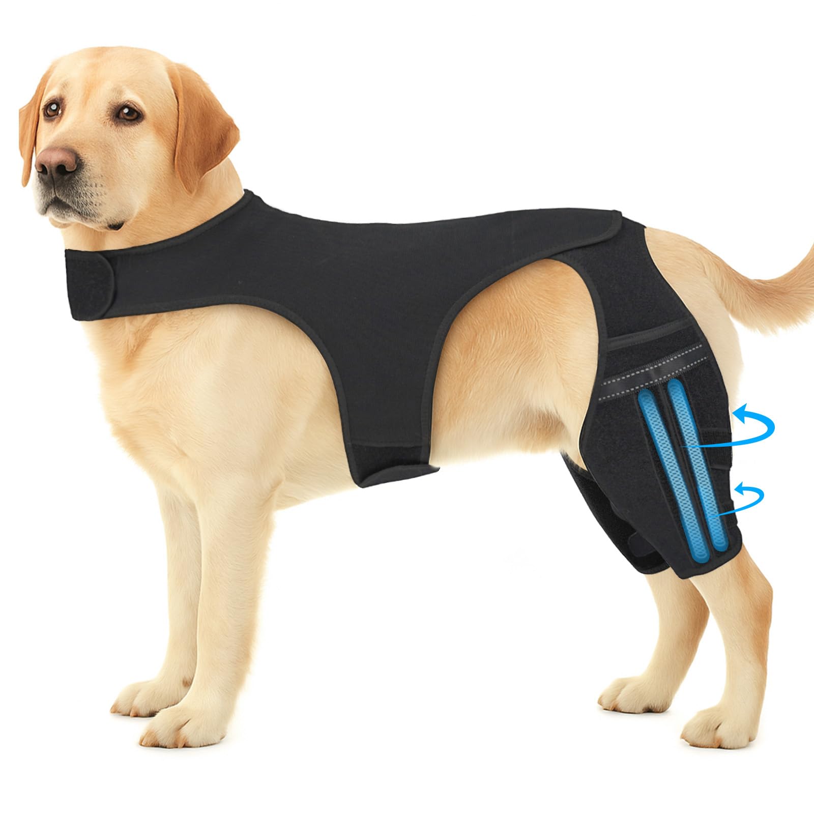 Photo 1 of Marnonsis Dog Knee Brace for Torn Acl Hind Leg - Dog Leg Brace to Reduce Pain, Stabilize Joints for Active Dogs - Heavy Duty Adjustable Splint for Walking, Running, Playing Outdoors