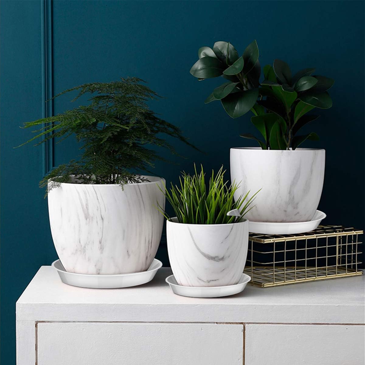 UPMCT 6 Pack Plant Saucer, 4 6 8 10 12 Inch Durable Plant Tray Flower Pot Saucer Round Pallets for Indoors and Outdoor, Plant Container Accessories (6 Inch, White) : Garden & Outdoor