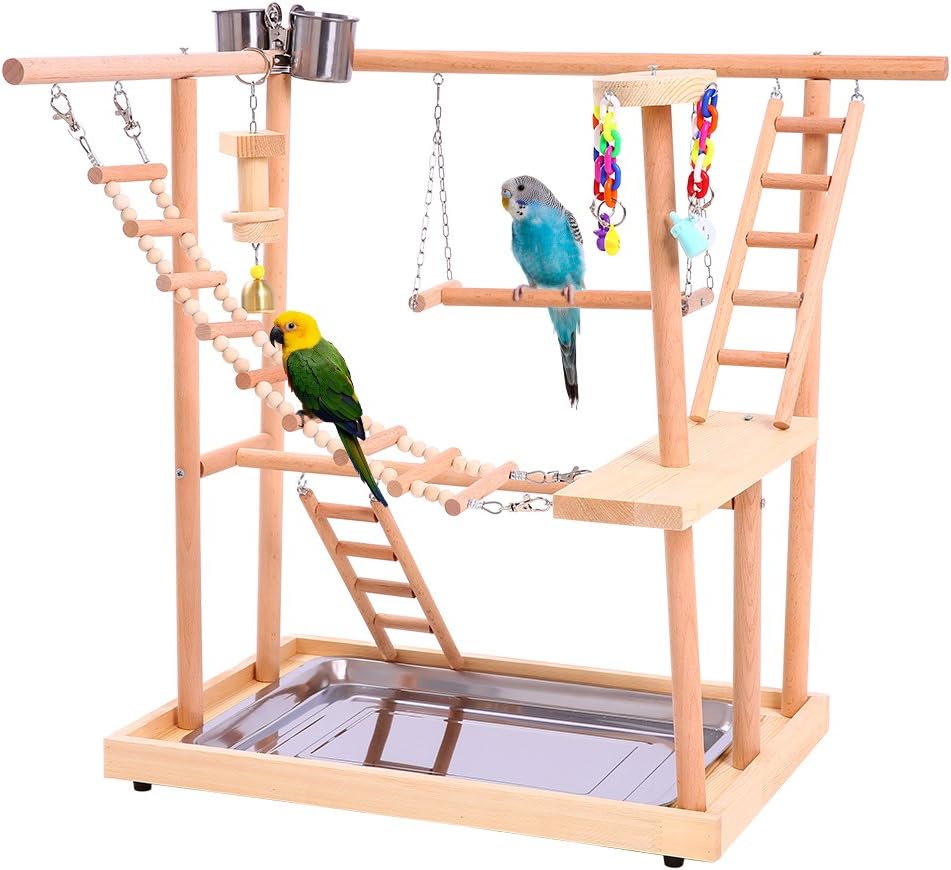 budgie activity centre