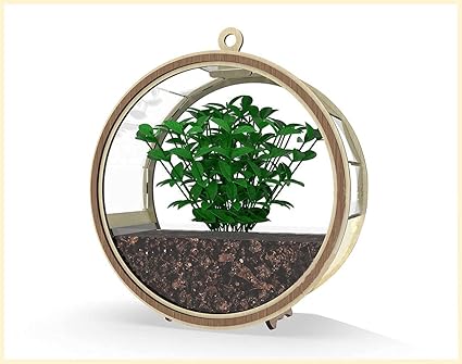 JENY Wall Hanging Pendant Greenery Plants Artificial Succulents Plants Pot Bonsai Tree for Indoor Wooden Vector Flowers Stand for Office Home Wedding Occasions Decor Showpiece (Round)