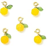 Gelirda 5Pcs Pumpkin Agate Pendants Natural Gemstone Holiday Fruit Charms with Brass Spring Clasps for Jewelry Making Keychain Craft