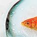 iDesign Bubble Fish Shower Curtain, 72 x 72, Orange