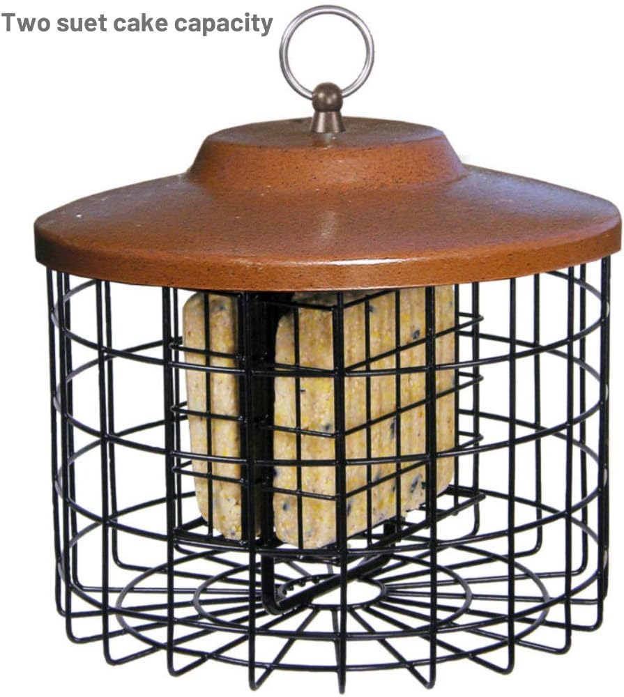 Squirrel-X Squirrel Proof Double Suet Feeder, Cage Bird Feeder, 2 Suet Cake Capacity : Suet Bird Feeders : Garden & Outdoor