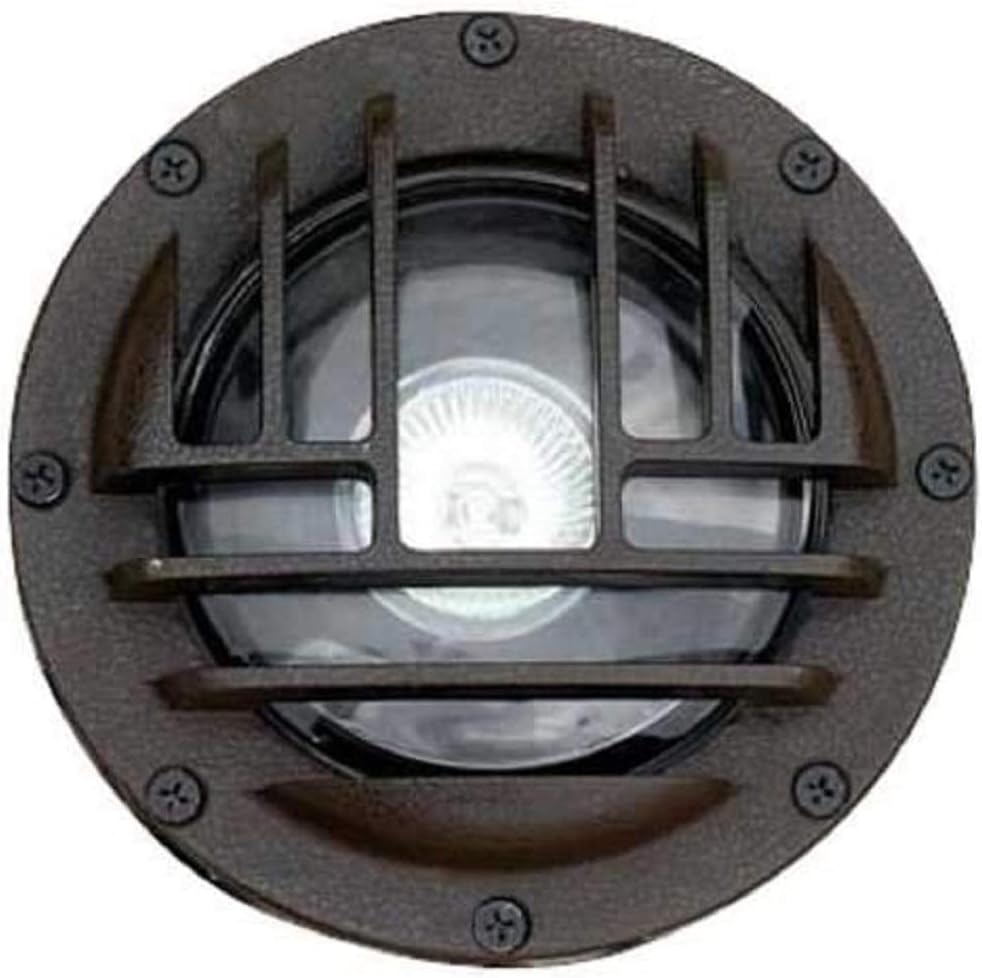 Well Light with Rock Guard