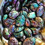 sedmart-Tear-Drop-Abalone-Shell-Pendent-Necklace-Wire-Wrap-Abalone-Shell-Tree-of-Life-Pendant-Necklace-Fashion-Necklace-Jewelry-for-Women-Handmade-Necklace-Mothers-Day-Necklace-for-mom-Jewelry