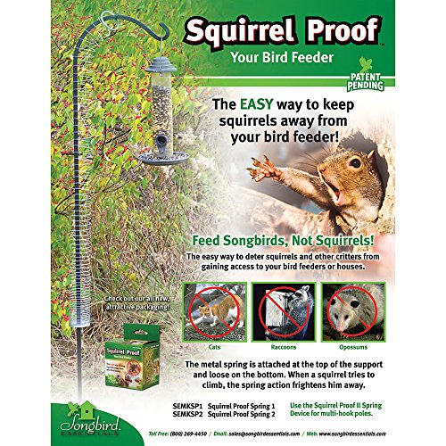 Amazon Com Johnson Smith Co Set 2 Squirrel Proof Spring Deters