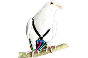 BEV'S BIRD BOUTIQUE Bev's Birds Boutique Flyper Mini Adjustable Bird Diaper | Reusable, Washable Cloth | Comfort Fit for Parrots, Cockatiels, and Other Small Birds | Fashionable Avian Accessories - Neon Stripe Mini 4