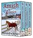 Amish Winter Collection: Amish Christmas Romance