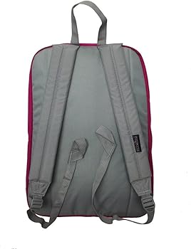 digibreak jansport backpack