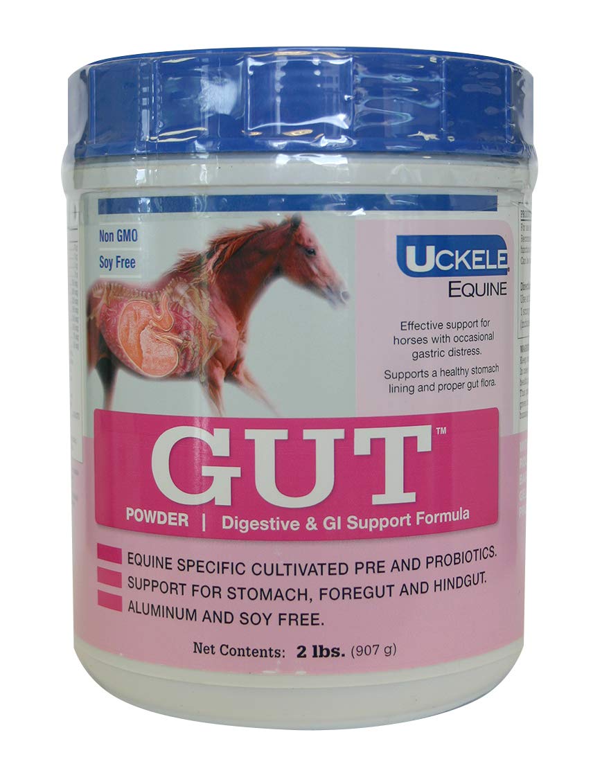 Uckele Gut Horse Supplement Buy Online in UAE. Pet Supplies