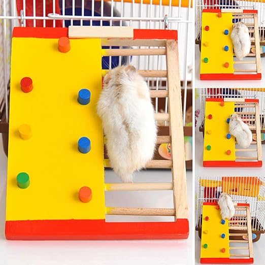 Gerbille Dent Jaune - Retrouvez Les Solutions Idéales Pour Avoir Un Beau Sourire.