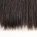 West Kiss Hair Straight Brazilian Virgin Human Hair 4x4 Lace Closure No Bleached Knots