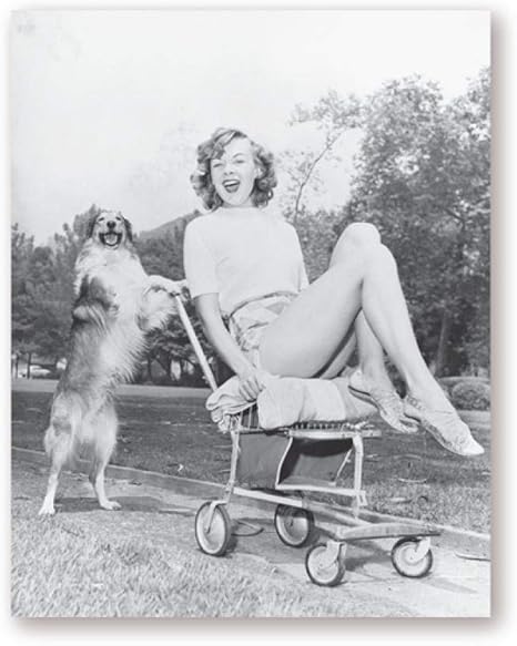 Amazon Co Jp 若い女性そしてコッカースパニエルペット犬版画黒白写真hd写真ヴィンテージポスター家壁アートパネル装飾キャンバス絵画インテリア40x60cmいいえフレーム ホーム キッチン