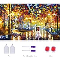    Crafts Graphy 5D Cross-stitch Painting with Diamonds Kit Full Drill - Circular Drill, Love Street, Large Size 16 x 20 Inches 