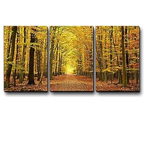 Three Piece Canvas - A Path Leading to a Yellow Forest During Fall Time on 3 Panels - Canvas Art Home Art - 16x24 inches