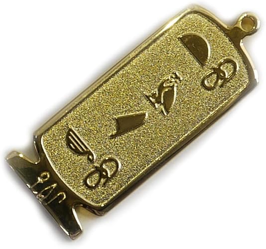Amazon 展示品 ヒエログリフ ペンダント とめこ 名前ネームネックレス 象形文字 ピラミッド 古代エジプト文字 名前 ゴールド ネックレス 開運 パワーグッズ 聖刻文字 ネックレス 通販