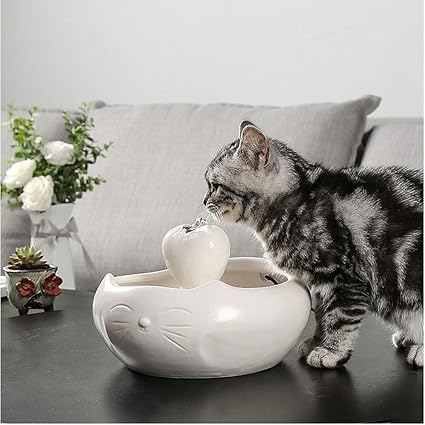 Fontaine à Eau Pour Chat Céramique Fontaine For Animaux En