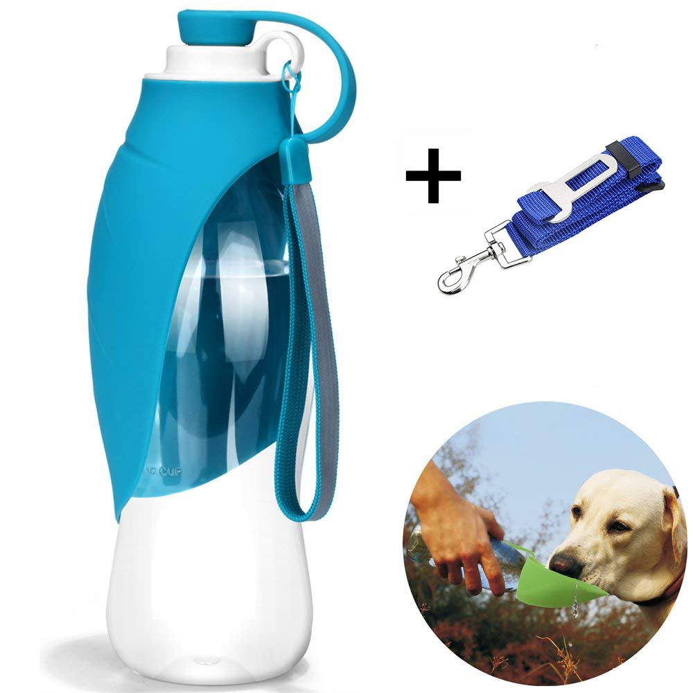 Firik 600ml Gourde Deau De Voyage Pour Chienchat