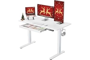 ErGear Electric Standing Desk with Drawers, 48" x 24" Height Adjustable Desk with 4 Preset, Home Office Computer Table with Splice Board, White