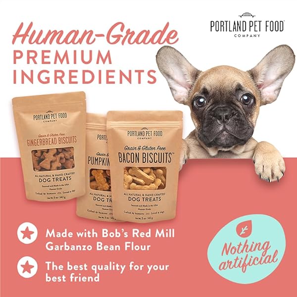 PORTLAND PET FOOD COMPANY PUMPKIN DOG TREATS HEALTHY BISCUITS FOR SMALL MEDIUM & LARGE DOGS – GRAIN-FREE, HUMAN-GRADE, ALL NATURAL COOKIES, SNACKS & PUPPY TRAINING TREATS – MADE IN THE USA – 5 OZ