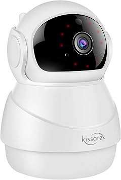 pet video monitoring system