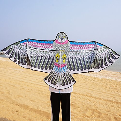 Besra 72inch 3D Eagle Bird Kite with Flying Tools Outdoor Fun Sports for Beach & Park (Eagle)