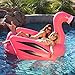 GoFloats Floatmingo Giant Inflatable Flamingo, Premium Quality and Largest Size (for Adults and Kids)
