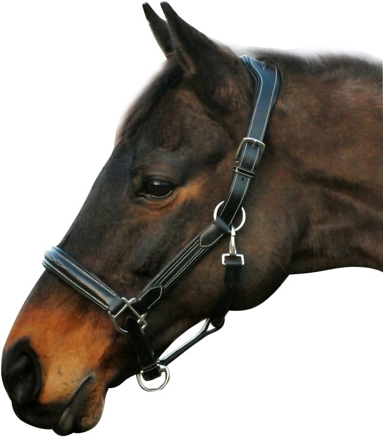 Henri De Rivel Stress Free Fancy Stitch Halter Black