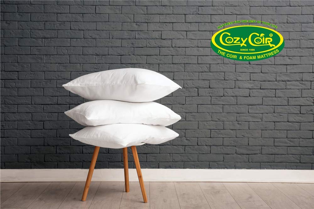 Cozycoir Comfort Cloud Pillow Micro Fiber 27 X 17 Amazon In