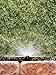 Rain Bird 8HC1 Spray Nozzle, 180° Half Circle Pattern, 5' - 8' Spray Distance