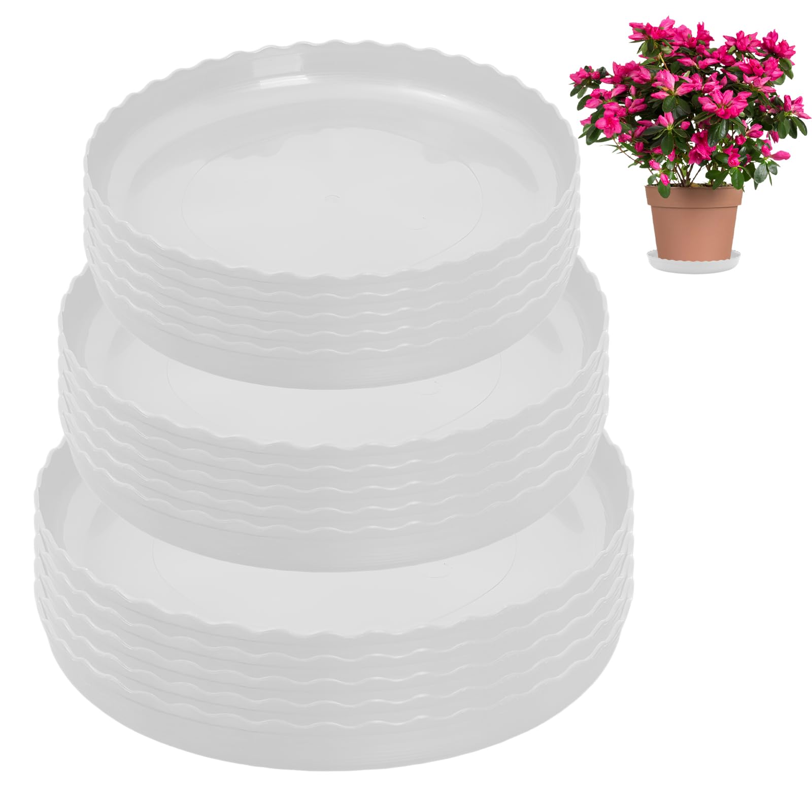 FEMONGY Plant saucers, Set of 15 White Plant Tray - Plant Pot Saucers and Plant Pot Trays in 3 Sizes (14cm, 16cm, and 18cm) - Surface Protection for Household Plants