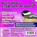 Heath Outdoor Products DD-15 Berry Blast Suet Cake, Case of 12, 0.75 lb