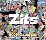 Zits: 2009 Day-to-Day Calendar by