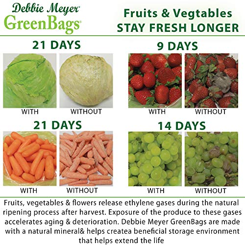 4 Debbie+Meyer+GreenBags+Freshness+Preserving+Storage