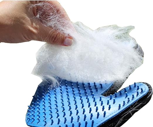 woof dog and cat grooming