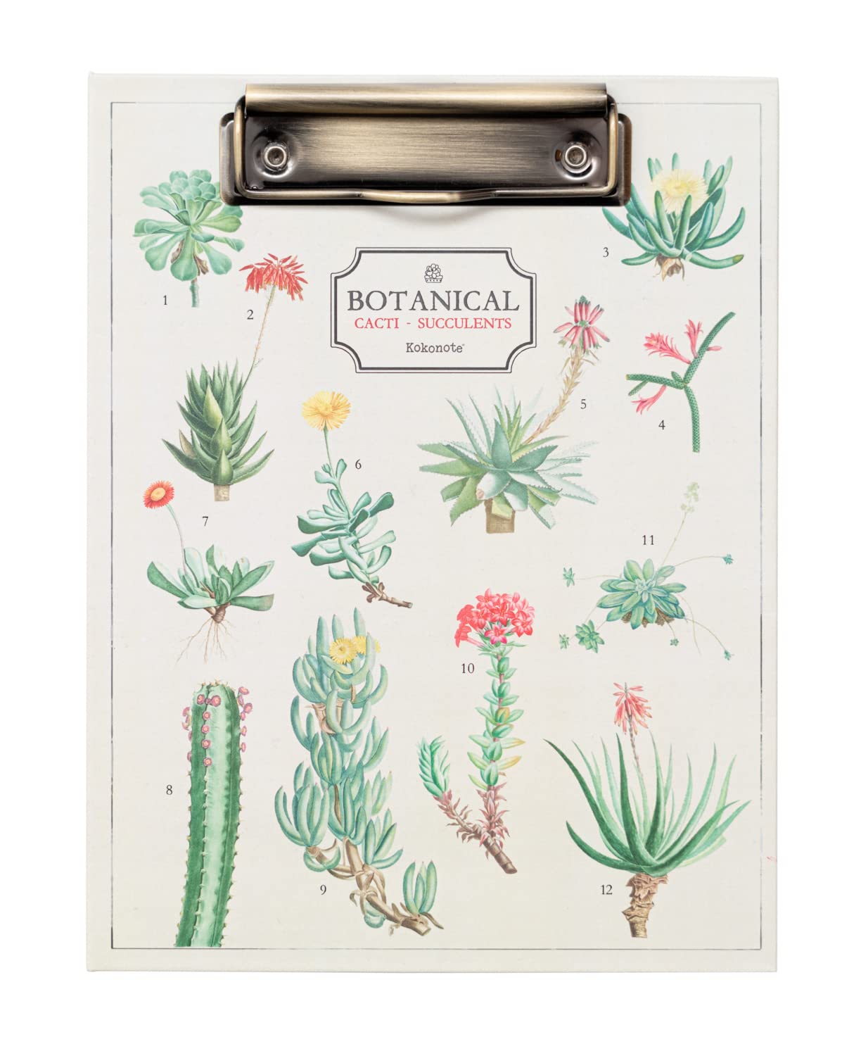 Grupo Erik Botanical Cacti Folder with Clip - A5 File Folder - Includes Notepad and Pocket - 6.7 x 8.58 inches / 17 x 21.8 cm - Clip Board - Cute Stationery