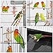 Yaheetech Parrot Bird Cage for Cockatiels Parakeets Conures Lovebirds Budgies Parrotlet Finches Canary Roof Top Bird Cage with Standthumb 1