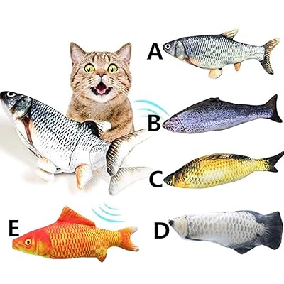 cats and fish