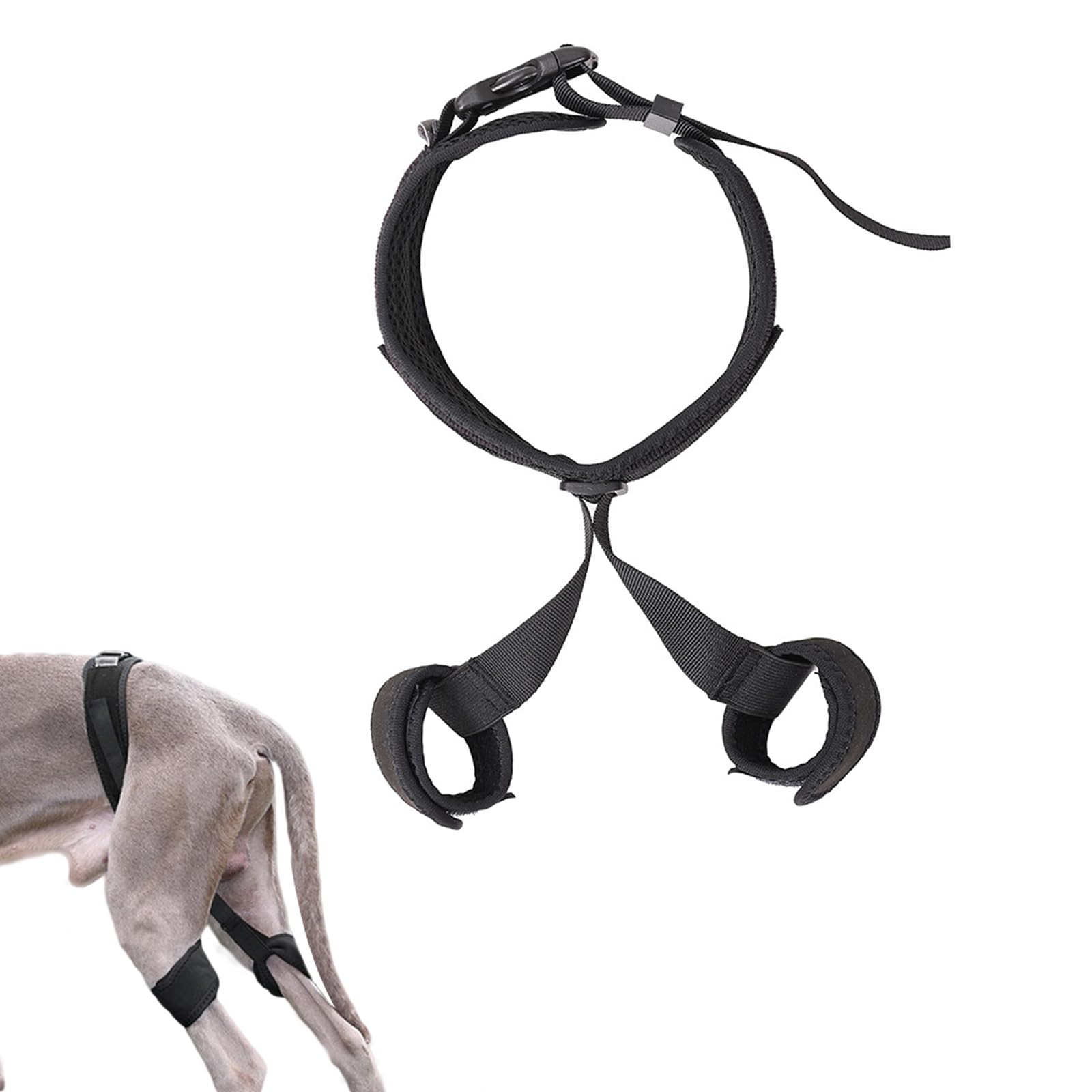 Dog Hip Support Brace,Hip Dysplasia Brace for Dogs,Dog Hip Dysplasia Brace,Dog Leg Knee Braces for Back Leg Rear Leg,Dog Hip Orthotics Brace for Hip Dysplasia, Luxating Patella, Relieve Hip Pain(M)