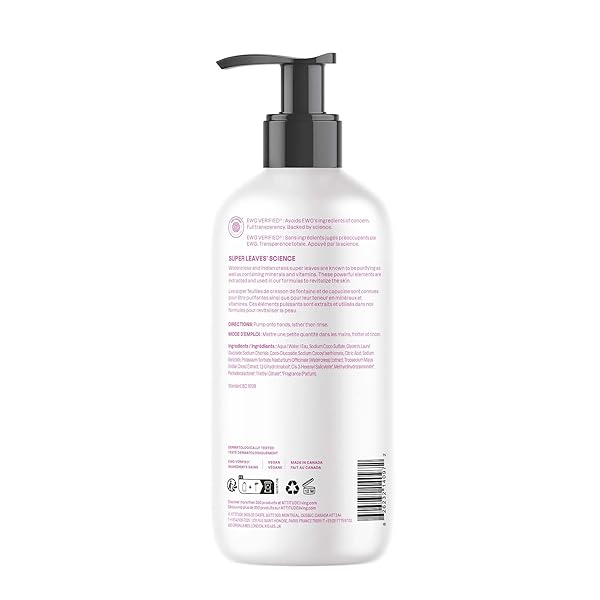 ATTITUDE LIQUID HAND SOAP, EWG VERIFIED, PLANT AND MINERAL-BASED, VEGAN PERSONAL CARE PRODUCTS, COCONUT & WILD BERRIES SCENT, 16 FL OZ